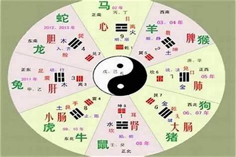 宣 五行|宣字的五行是什么,宣的五行属性及吉利寓意